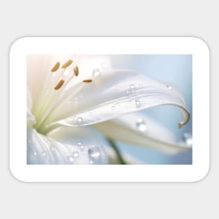 Lilium Flower Petal Nature Serene Calm Sticker